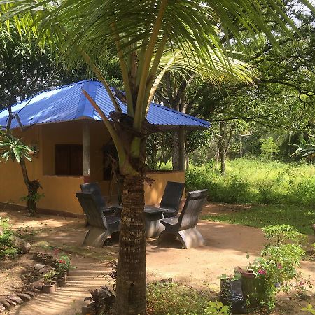 Yapahuwa Relax Stay Extérieur photo